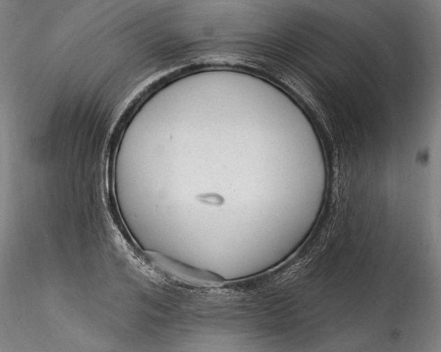 X0000115530984200911271342