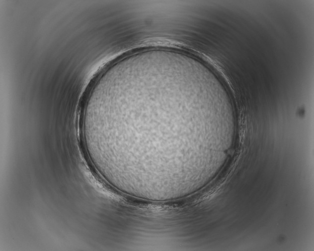 X0000115530987200911271342