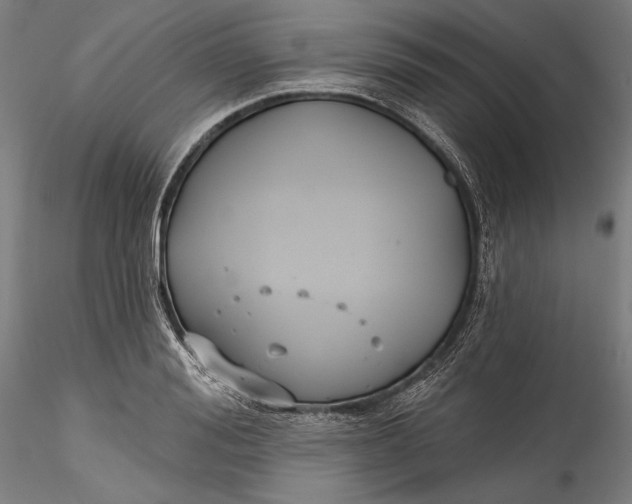 X0000115530988200911271342