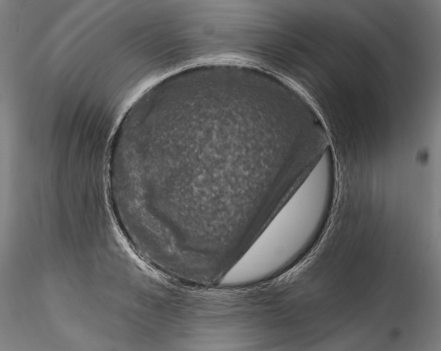 X0000115530989200911271342