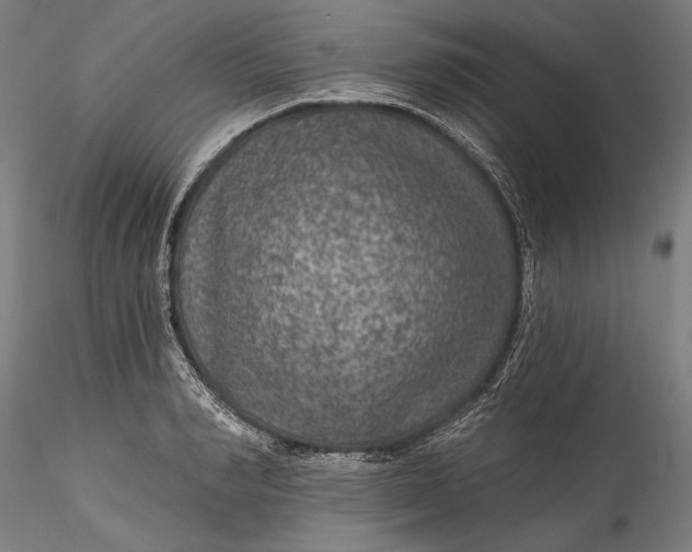 X0000115530990200911271342