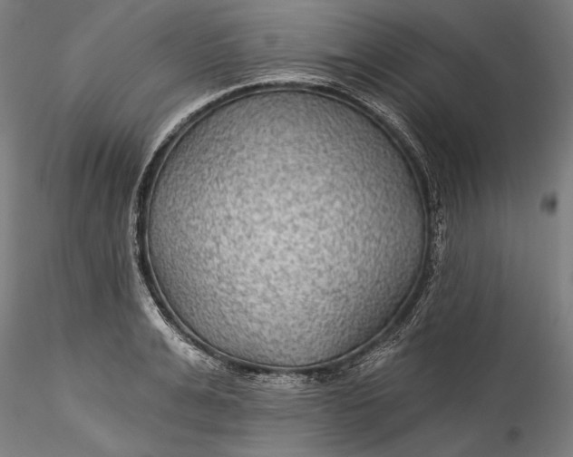 X0000115530991200911271342