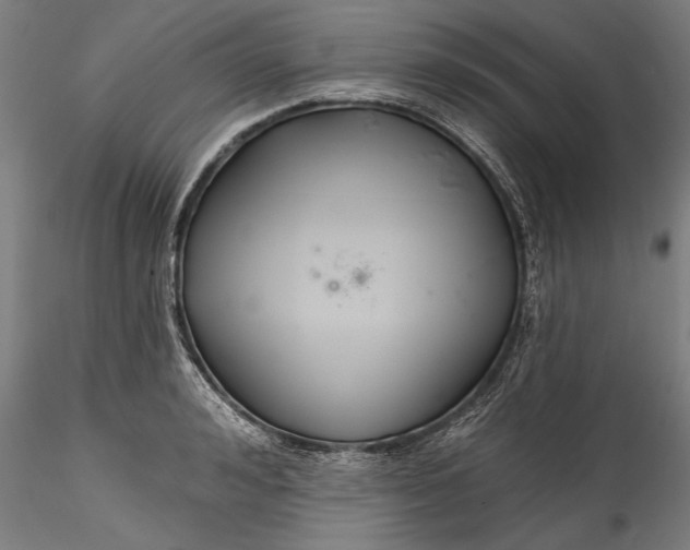 X0000115530992200911271342