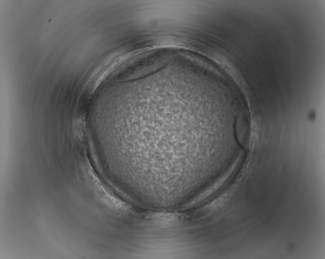 X0000115530993200911271342