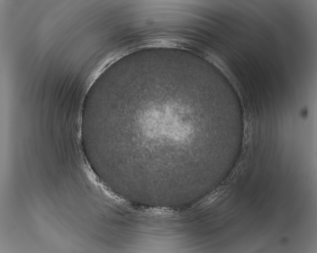 X0000115530994200911271342