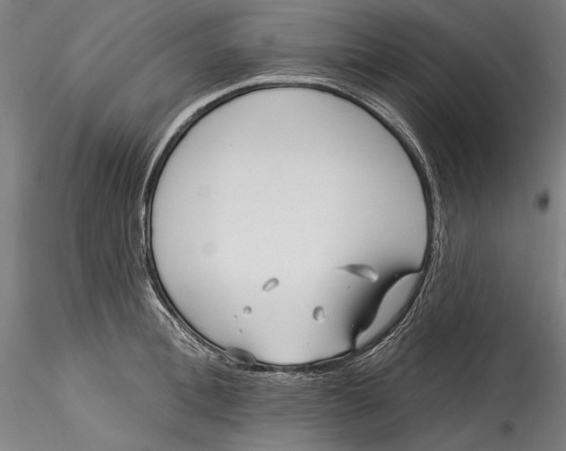 X0000115530996200911271342