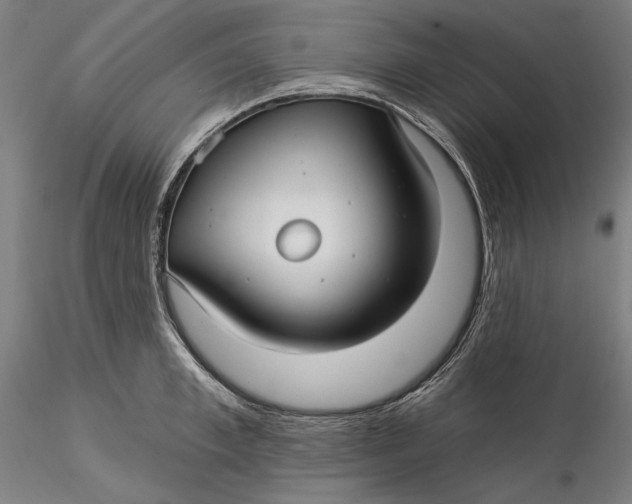 X0000115530997200911271342