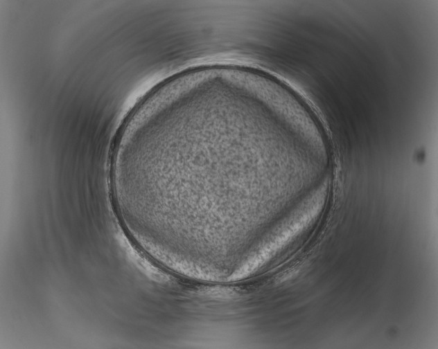 X0000115530998200911271342