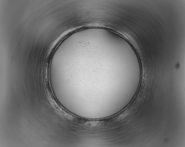 X0000115531000200911271342