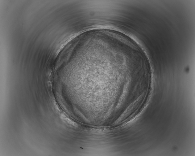 X0000115531001200911271342