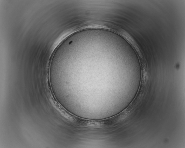 X0000115531002200911271342