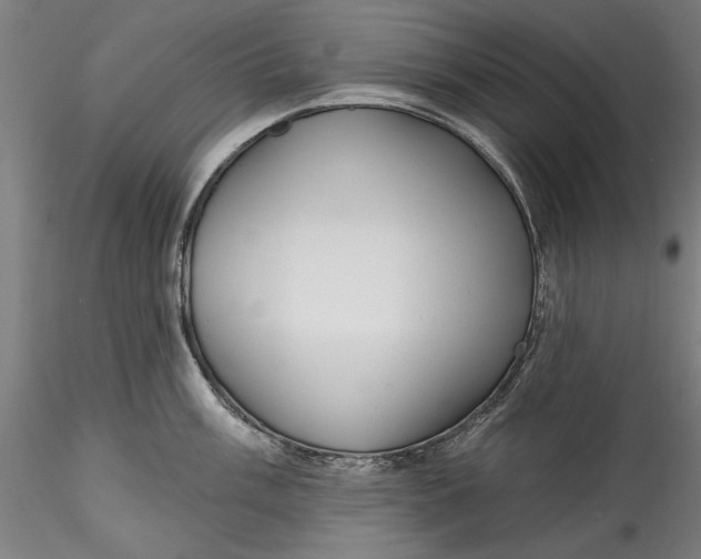 X0000115531003200911271342