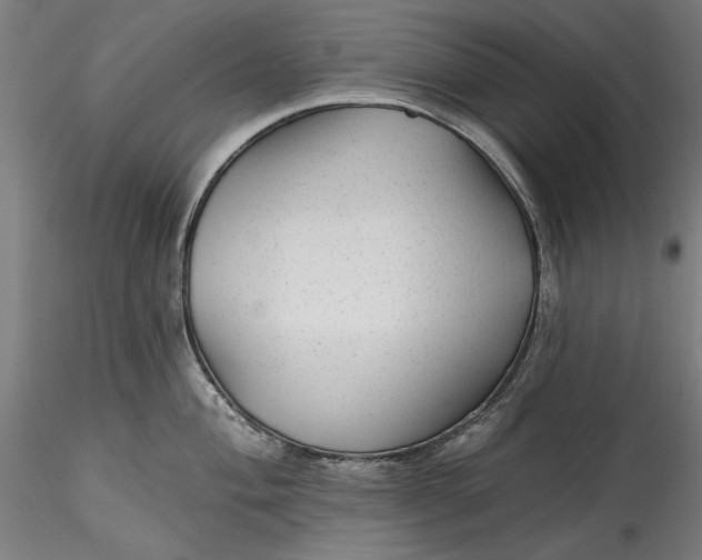 X0000115531004200911271342