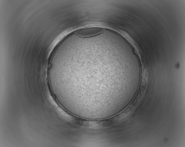 X0000115531005200911271342