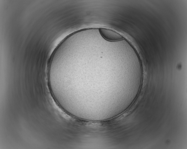 X0000115531006200911271342