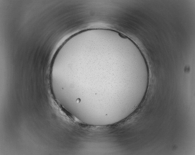 X0000115531008200911271342