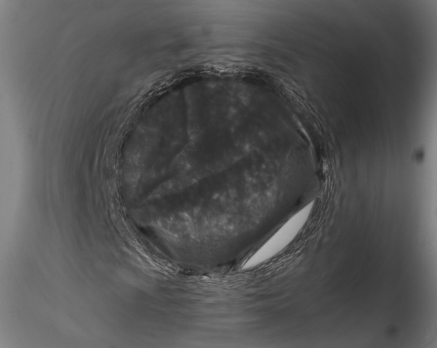 X0000115531009200911271341