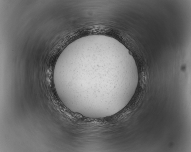 X0000115531010200911271341