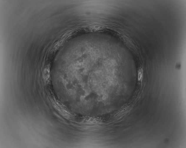 X0000115531011200911271341