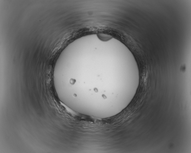 X0000115531012200911271341