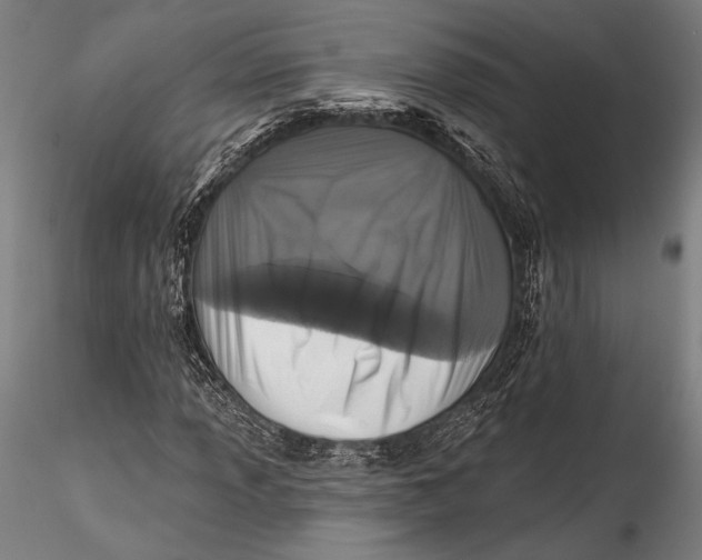 X0000115531013200911271341