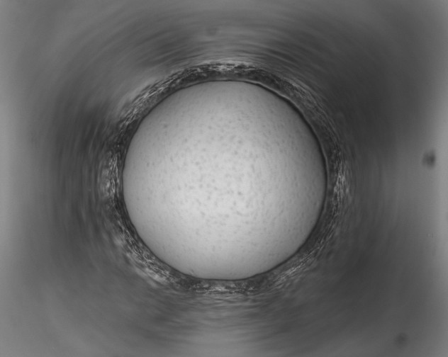 X0000115531014200911271341