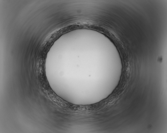 X0000115531016200911271341