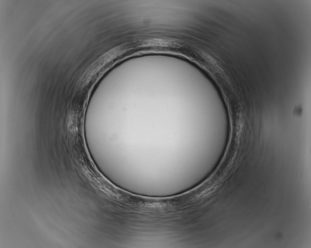 X0000115531017200911271341