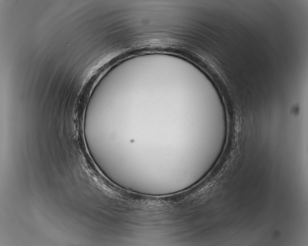 X0000115531018200911271341