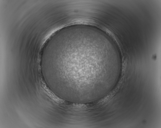 X0000115531019200911271341