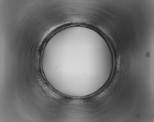 X0000115531021200911271341