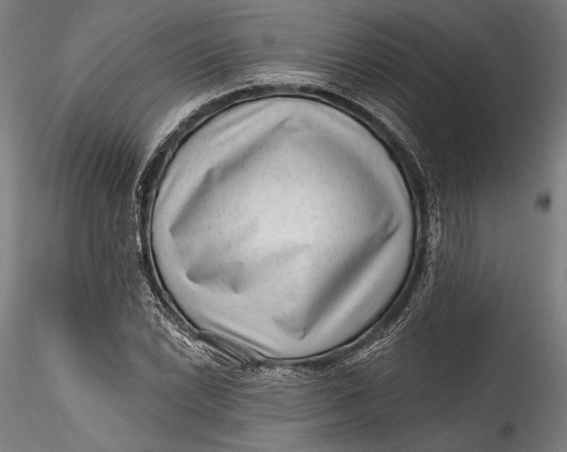 X0000115531022200911271341