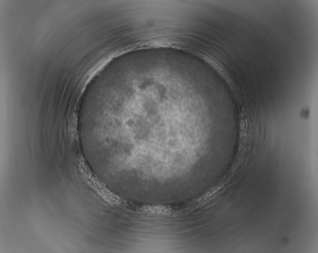 X0000115531023200911271341