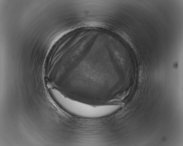 X0000115531024200911271341