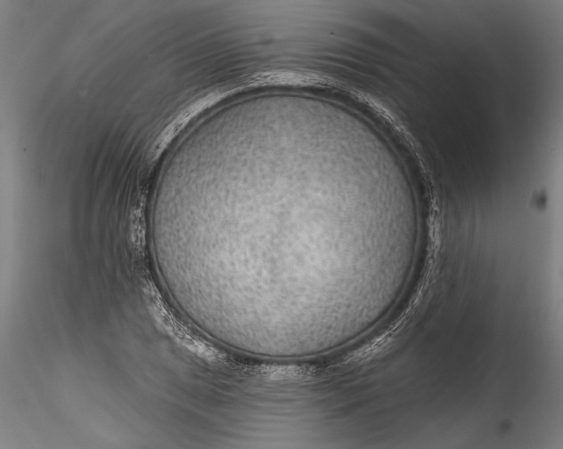 X0000115531025200911271341