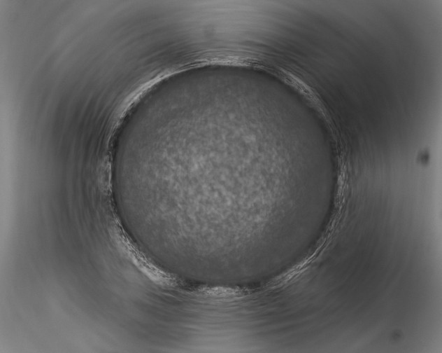 X0000115531027200911271341