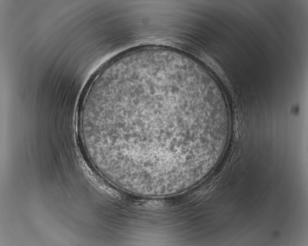 X0000115531028200911271341