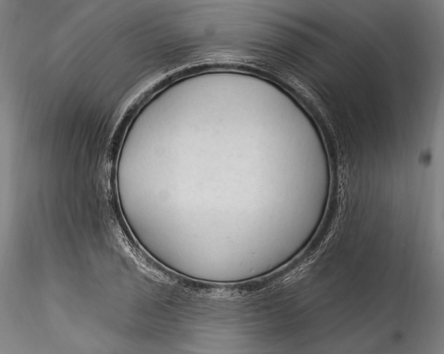 X0000115531029200911271341