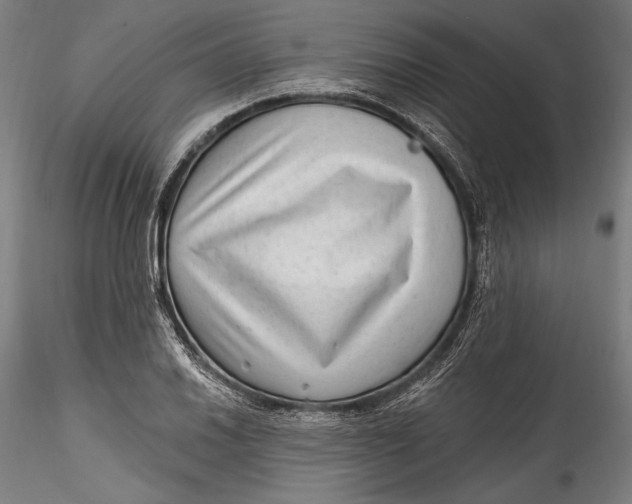 X0000115531030200911271341