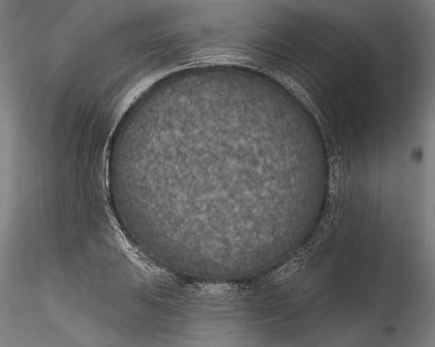 X0000115531031200911271341