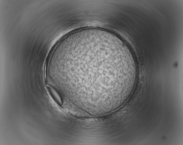 X0000115531032200911271341