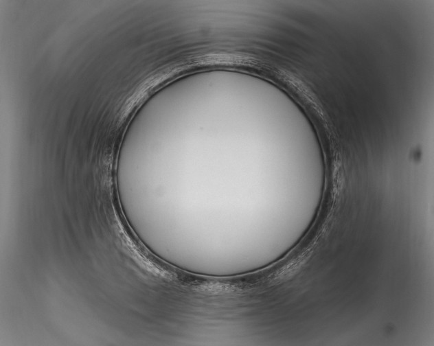 X0000115531033200911271341