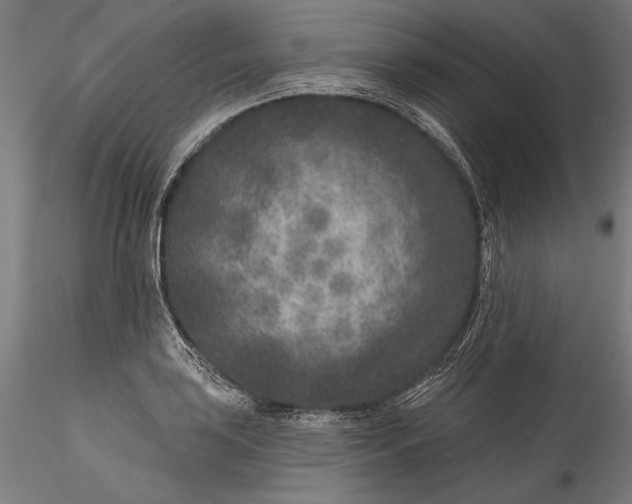 X0000115531035200911271341