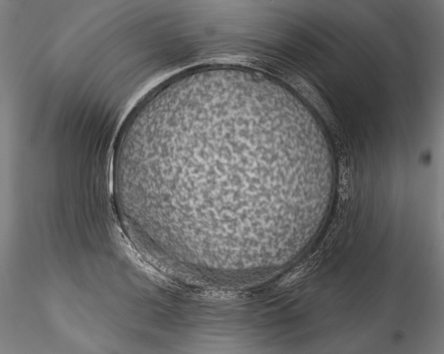 X0000115531036200911271341