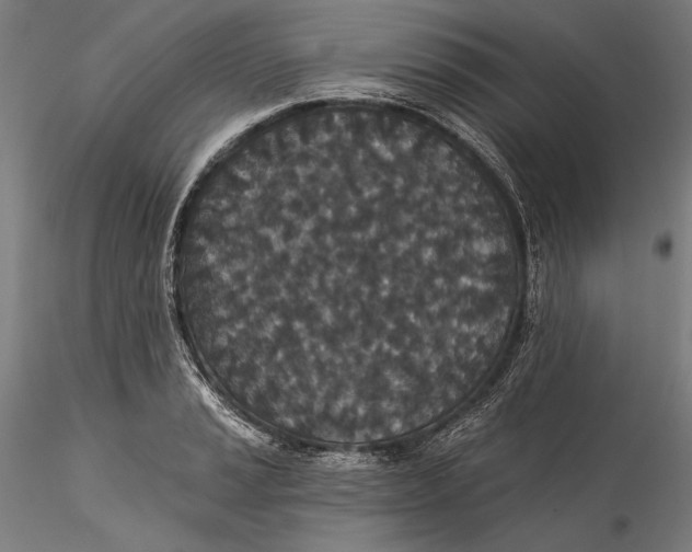 X0000115531037200911271341