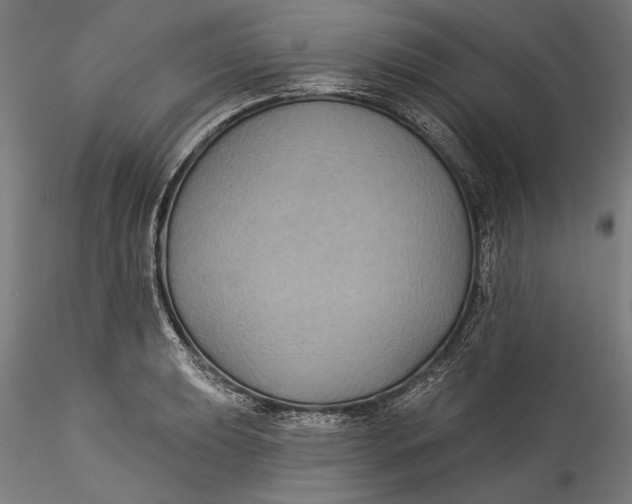 X0000115531039200911271341