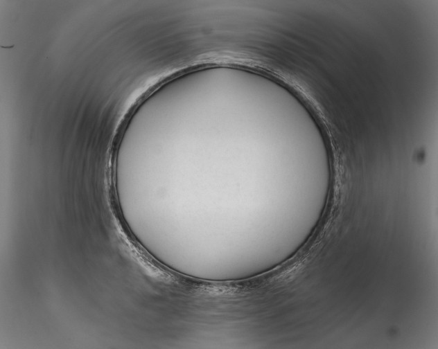 X0000115531040200911271341