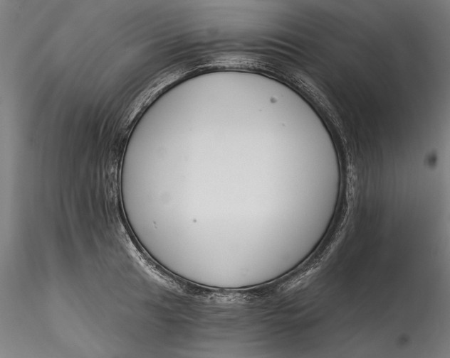 X0000115531041200911271341