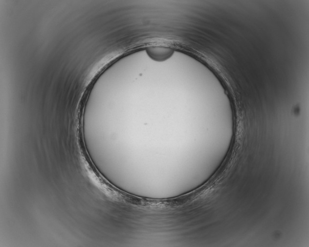 X0000115531042200911271341