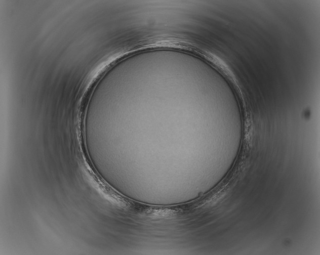 X0000115531043200911271341